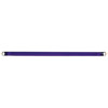 American DJ 24" Replacement Black Light Tube Only - $19.95
