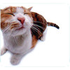 Mouse Pad Cat