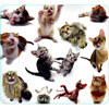 Allsop Cat Group Mouse Pad 29309