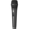 Rode M2 Live Performance Condenser Microphone M2