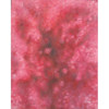Adorama Belle Drape Abstract Art Series, 10' x 12' Painted Muslin Background, Style #263. Color: Pink Rose Bush