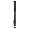 Benro A38F Classic Monopod - Aluminum Flip Lock Leg