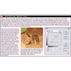 PhotoBert Photoshop CheatSheet, Information on a Card for Versions 7, CS &amp; CS2.