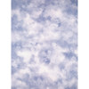 Studio Dynamics Classic Series 10x10' Muslin Background