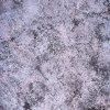 Studio Dynamics Europa Series 16x20' Muslin Background, Studio Dynamics brand