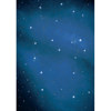 Studio Dynamics General Scenic Series 10x20' Muslin Background