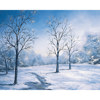 Studio Dynamics General Scenic Series 10x20' Muslin Background