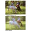 B + W 35.5mm Digital Pro Soft Image (655) Glass Filter