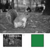B + W 82mm #060 Wide Angle Slim Mount Glass Filter - Yellow/Green #11