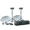 Bowens Gemini 1000 watt Monolight Kit with 2 500wsR Heads, 2 Light Stands, Reflectors, Umbrellas &amp; Deluxe Rolling Carrying Case.