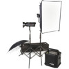 Bowens Gemini 250R/250R Umbrella Travelpak Kit, with Two 250 watt Second Monolights, Umbrellas, Stands &amp; Carry Bag, Includes Pulsar TX Kit