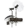 Bowens Gemini 400/400 Umbrella Travelpak Kit, with Two 400 watt Second Monolights, Umbrellas, Stands &amp; Carry Bag