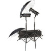 Bowens Gemini Classic 250C 2 Light 500 W/s Monolight Umbrella Kit with Light Stands &amp; Trolley Case