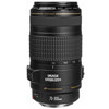 Canon EF 70-300mm f/4-5.6 IS USM Autofocus Telephoto Zoom Lens 0345B005AA