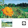 Cokin Split Field Filter +3 Series A A113