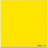 Cokin Series P Yellow Filter