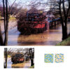 Cokin Color Diffuser Filter Sheets, Series P (requires the P194 Gel Holder)