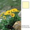 Cokin Yellow Color Correction Filter (CC40Y) X-Pro Series X727