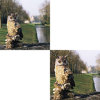 Cokin Series P Split Field Filter +2 P112