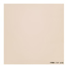 Cokin Z-Pro Series 81B Warm Color Conversion Filter Z027