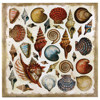 C.R. Gibson Post-Bound Magnetic Page Album, with 8 Pages and will Hold Any Size Image up to 10 x 12, Color: Nautilus.