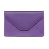 C.R. Gibson Grape Pebble Expandable Photo Envelope, holds up to 48 - 4x6" Photographs