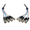 Bnc Component