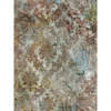 Denny Manufacturing 8x8' Antiquity Freedom Cloth Backdrop CPM676088