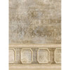 Denny Manufacturing 5x7' Rara Avis Freedom Cloth Backdrop CPM689057