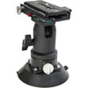 Head Mounts