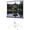 Da-Lite Picture King Video Format Tripod Screen 40118