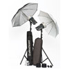 Elinchrom D-Lite 2/4 it Starter to Go Set with Two Monolights, Stands, Plug-In Flash Tube, Protective Hood