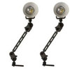 Equinox Dual 100W Large Aqualight Light System with Quartz-Halogen Light, Battery, Charger and Control Arm