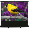 Elite Screens ezCinema Plus Portable Projection Screen F100XWV1