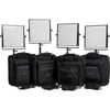 FloLight Microbeam 4000W LED 4 Light Kit KITLED4X10N-SOFT-DS