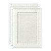 Collector's Gallery Tinted Embossed Willow Photo Greeting Cards for Your 3.5" x 5" or 4x6" Picture, Pack of Three Cards.
