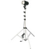Flashpoint Budget Studio Monolight Flash 160 with 7.5' Black Lightstand