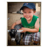MCS Multipurpose Aluminum Frame 21199 - $12.50
