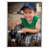 MCS Multipurpose Aluminum Frame 21266 - $12.50