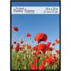 MCS Poster Original Masonite Back Frame 23038 - $18.40