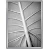 MCS Classic Aluminum 18x24" Frame 44841