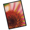 Poly Glass