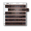 Print File Archival 35mm Size Negative Pages Holds Six Strips of Six Frames, Pack of 100