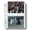Print File Archival Photo Pages Holds Four 5x7" Prints, Pack of 25