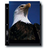 Print File Archival Photo Pages Holds Two 8x10" Prints 0600800, Print File brand