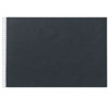 Prat #502I Archival Refill Sheet Protectors 502I 17X11, Prat Paris brand
