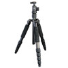 Giottos VITRUVIAN VGR8265-M2C 5-Section Carbon Fiber Tripod with Arca Style Quick Release Ball Head, Maximum Height: 66.6in, Folded 16.5in, Load Capacity: 13 lbs.