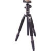 Giottos Carbon Fiber Tripod/Monopod - $499.99