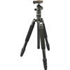 Giottos Aluminum Tripod/Monopod - $299.99