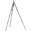 Gitzo GT2542L Series 2 6x Carbon Fiber Tripod Legs GT2542L